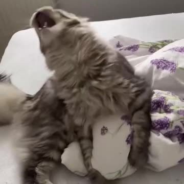 My mental health according to the picture