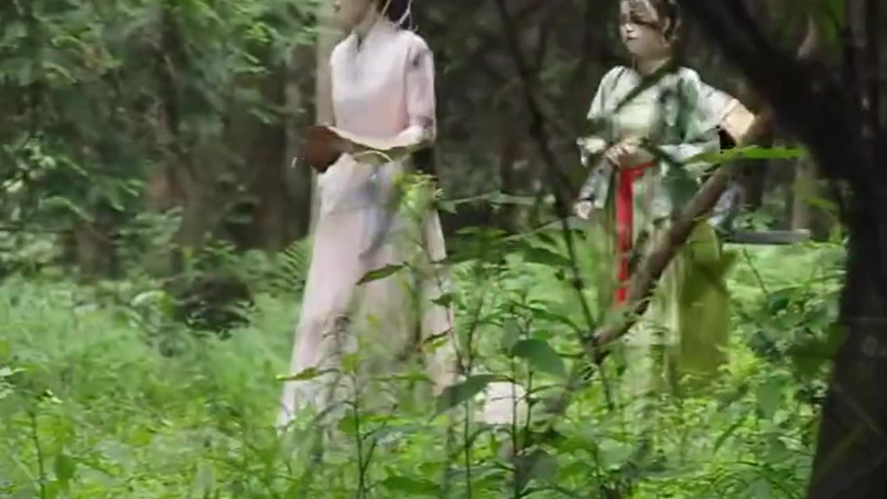 神医嫡女风华-澄芓
