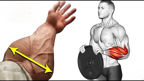 Best 11 Top Forearm Exercises To Build Bigger Forearm And Bicep Muscle _ Forearms Workout