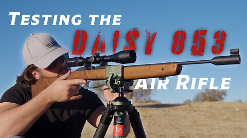 Daisy 853 Air Rifle - Pellet testing, first shots, penetration, and more!