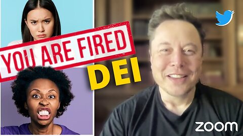 Elon Musk Fires DEI Employees in Twitter Meeting | Controversial Decision Explained