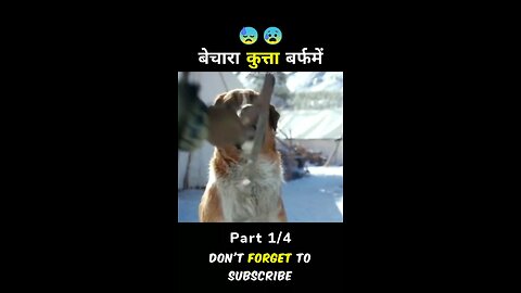 Best video for movie in Hindi language