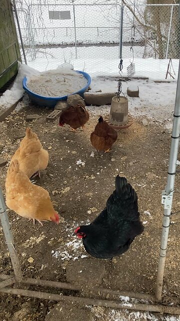 Groundhog Day part 2?