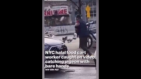 NYC Food Carter Worker Catches Pigeon with Bare hands