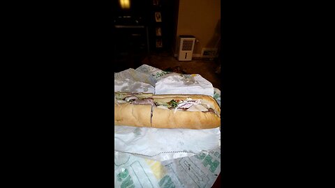 Meal, Subway, Telegraph Rd, Dbn, MI, 2/26/25