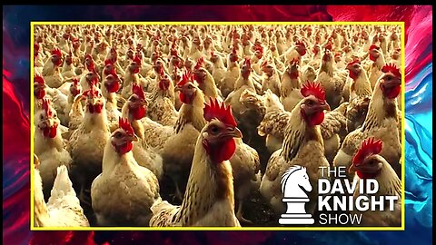 LEANNA WEN RETURNS — HAWKING DANGEROUS BIRD FLU VAX 💉