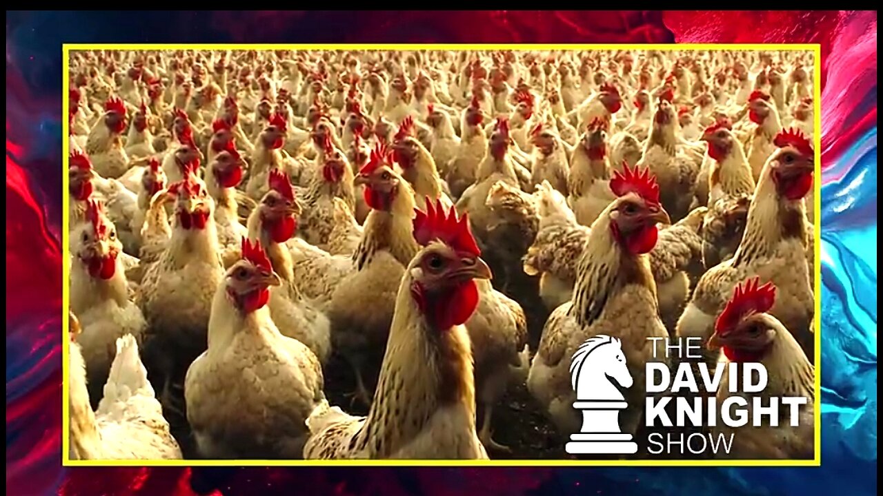 LEANNA WEN RETURNS — HAWKING DANGEROUS BIRD FLU VAX 💉