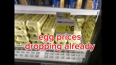 egg price