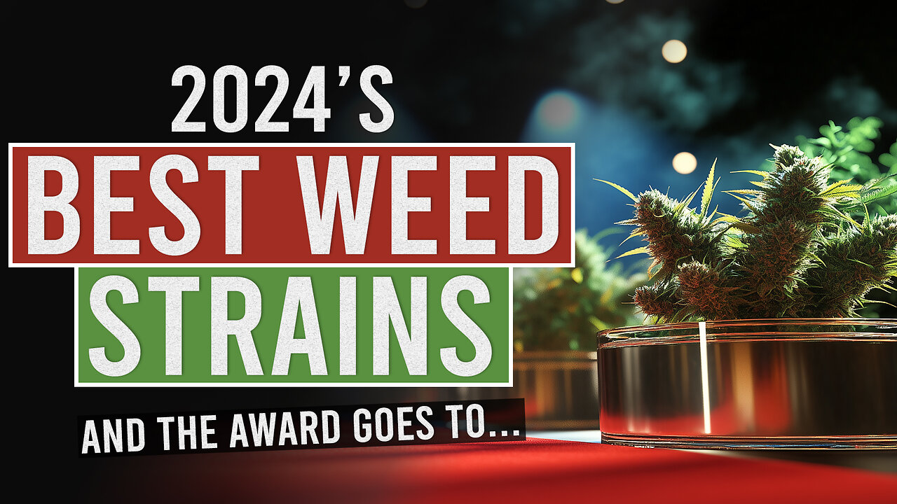 Unveiling 2024's Award-Winning Cannabis Strains!