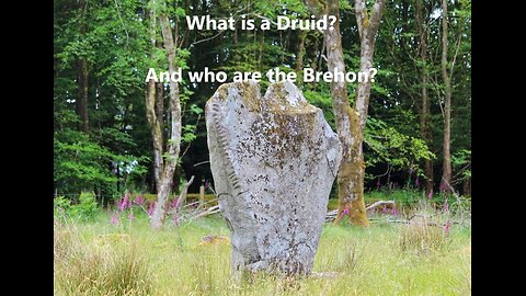 What is a Druid? And who were the Brehons? (ancient indigenous Gaelic culture)