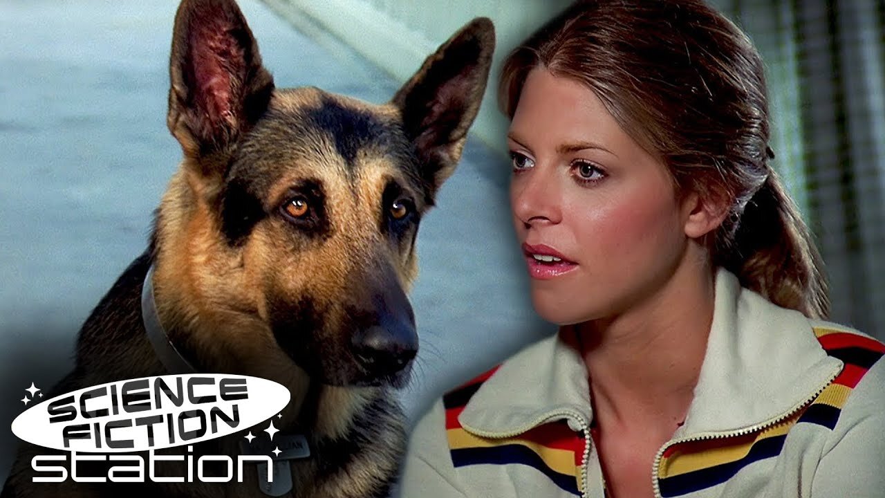 The Bionic Woman and Her Canine Companion: A Sci-Fi Adventure