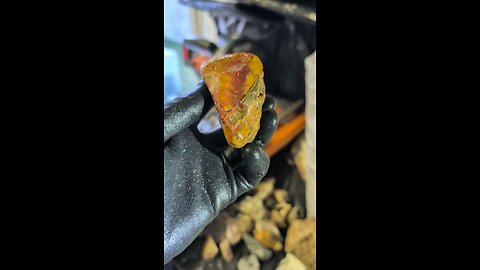 Brecciated Jasper Cut!