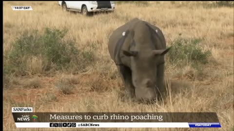 Rhino Poaching: SANParks at Kruger National Park introduce new measures to curb scourge: JP Louw