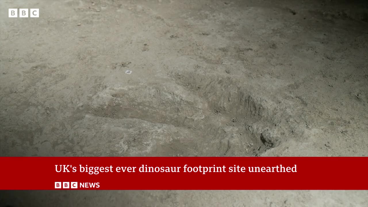 UK's biggest ever dinosaur footprint site discovered | BBC News