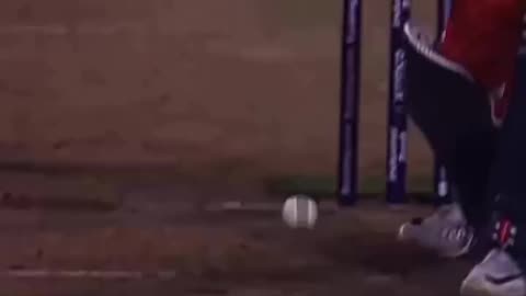 #cricket