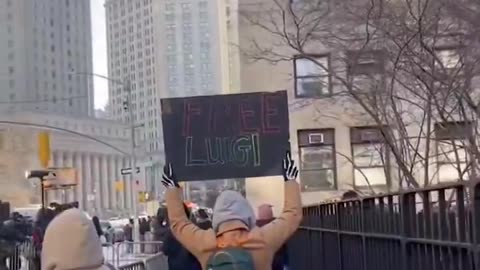 FREE LUIGI Protest & Court Recap