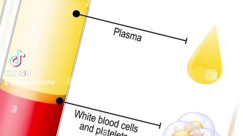 BLOOD CELLS IONS