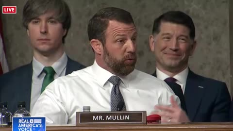 Senator Mullins Brings The Fire | Check Description