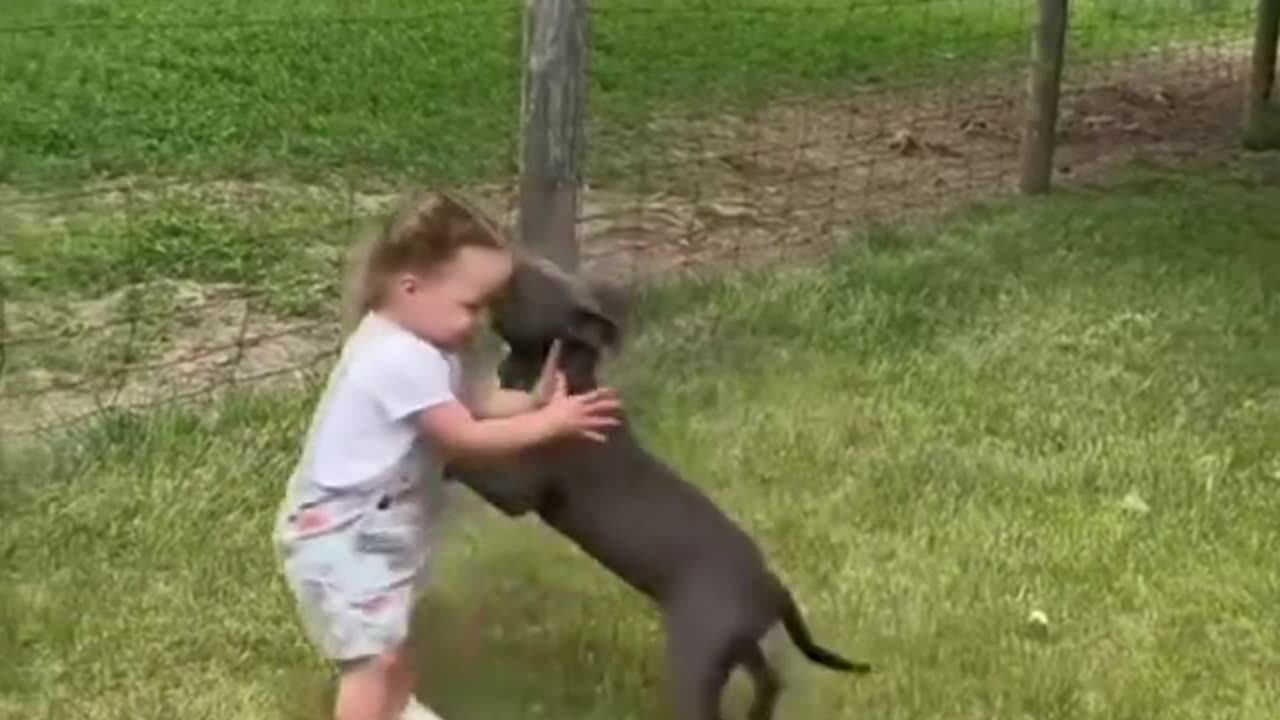 Dogs loves child