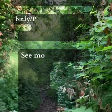 Question The Inner Guidance | Path and Tarot Reading