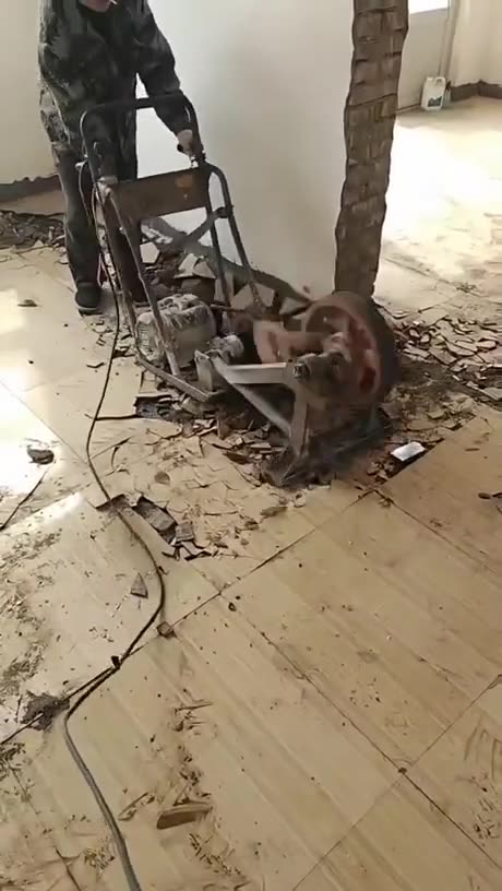 Upstairs Neighbors on a Saturday morning