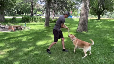 Fida Dog Rope Toys for Large Dogs – Natural Cotton Dog Chew Toy for Boredom