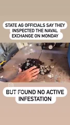 fertilizer soil with sting Beetles Larvie