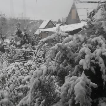 Winter landscape from the window