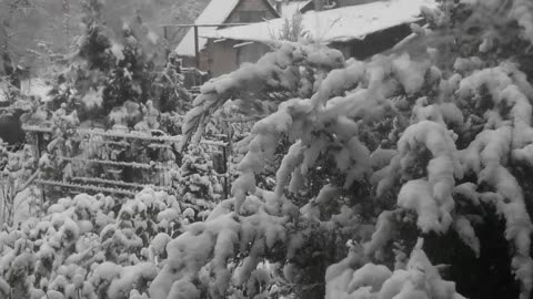 Winter landscape from the window