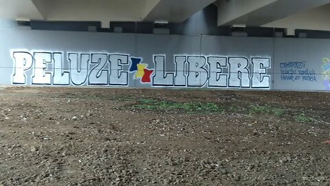 Football Graffiti in Bucuresti. Peluze Libere (Free Ultras)