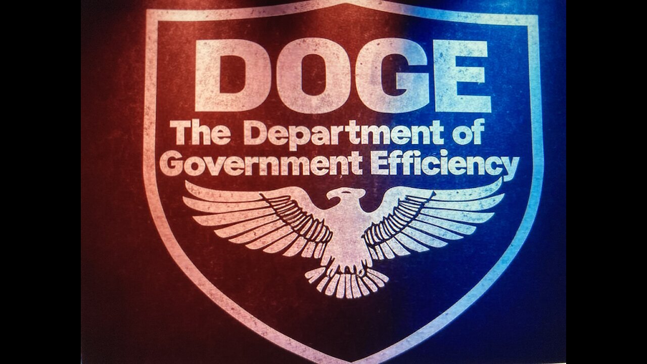 DOGE and the H1B Department of Government Efficiency