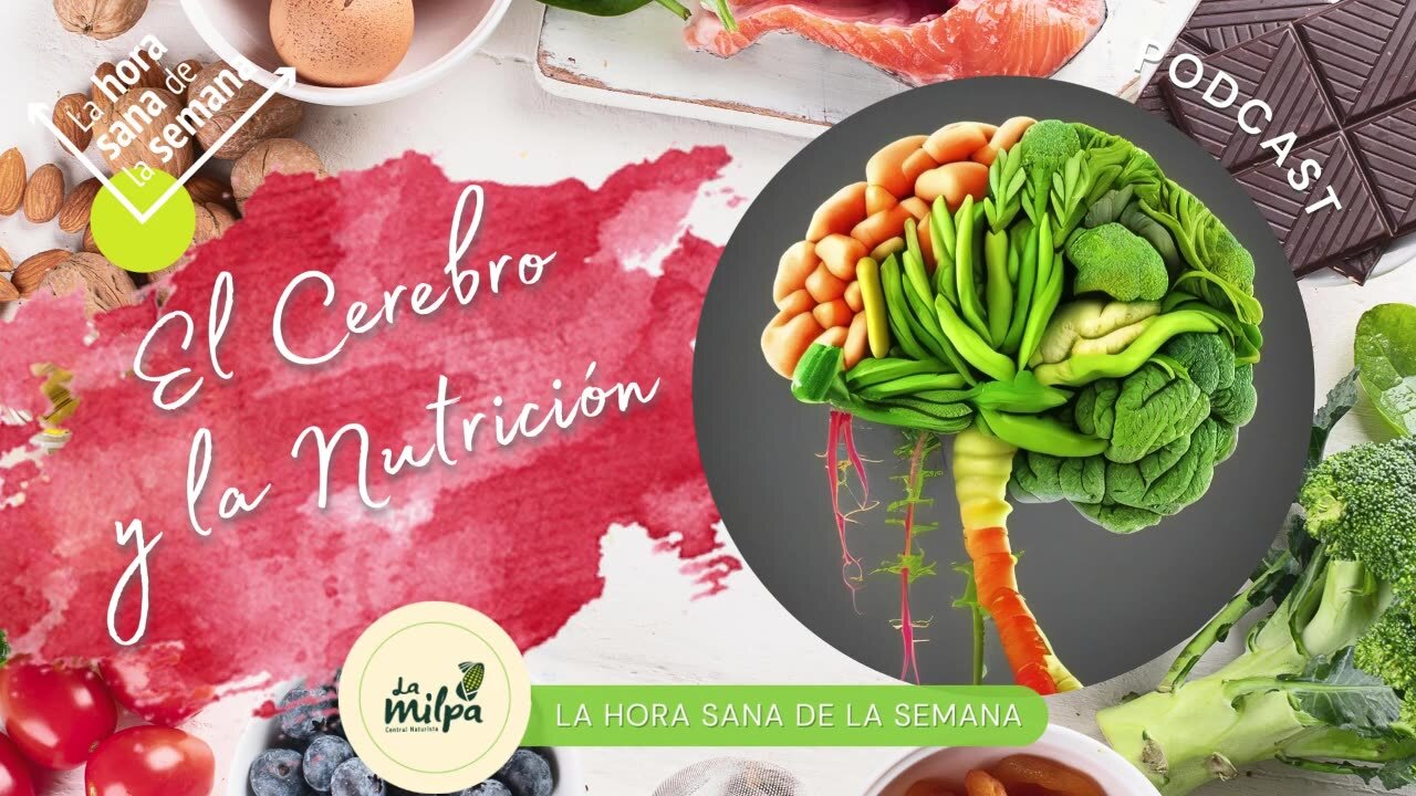 El Cerebro y la Nutrición