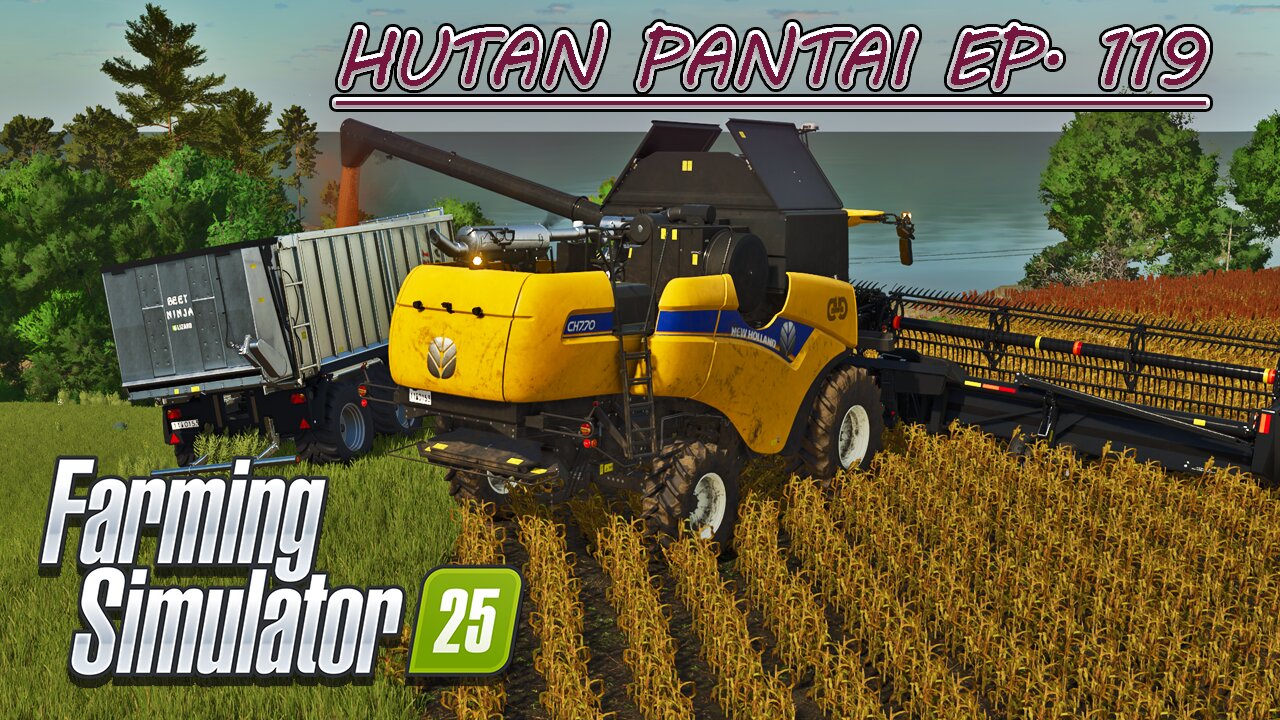 Temple Sale. Harvesting Sorghum. Rolling Canola Field. |4k| HUTAN PANTAI EP. 119 | Farming Simulator 25