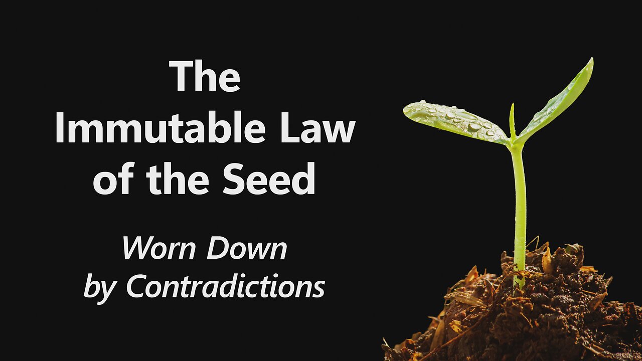 2025-03-09 - The Immutable Law of the Seed - 06 - Worn Down by Contradictions