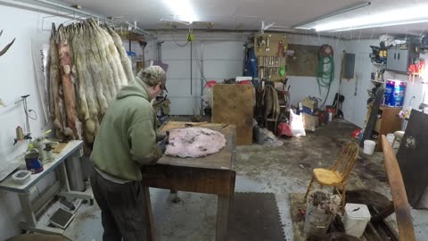 Fur Shed - Boarding Beavers