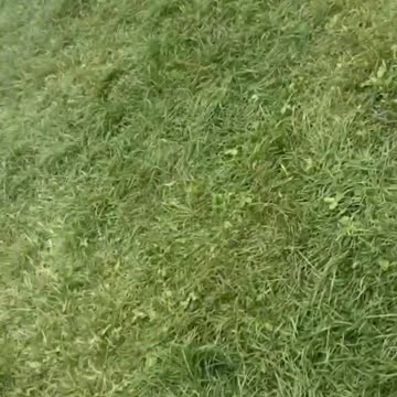 Top 5 Epic Fails You Won't Believe! 😱 #Fails #EpicFails #Top5 #FunnyMoments #Mishaps