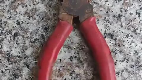 Rumble shorts