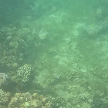 Snorkeling Morning!!