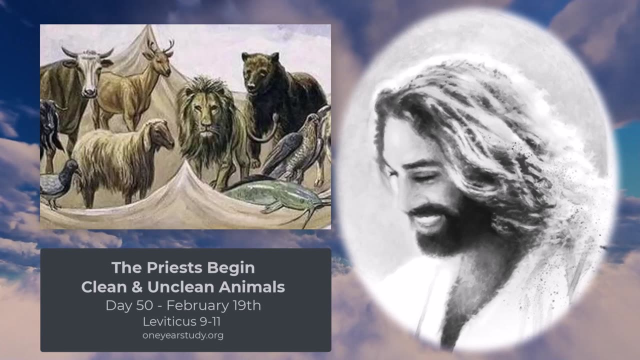 The Priests Begin, Clean & Unclean Animals - Leviticus - Day 50 - February 19th - One Year Bible