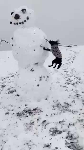 New year new struggles 😂