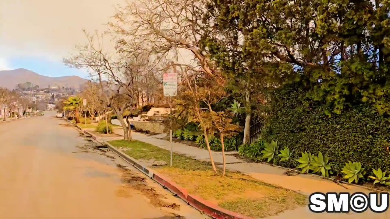 Pacific Palisades CALIFORNIA FIRE - The Devastation which Reduced Businesses and Homes to ASH