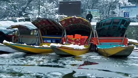 Kashmir