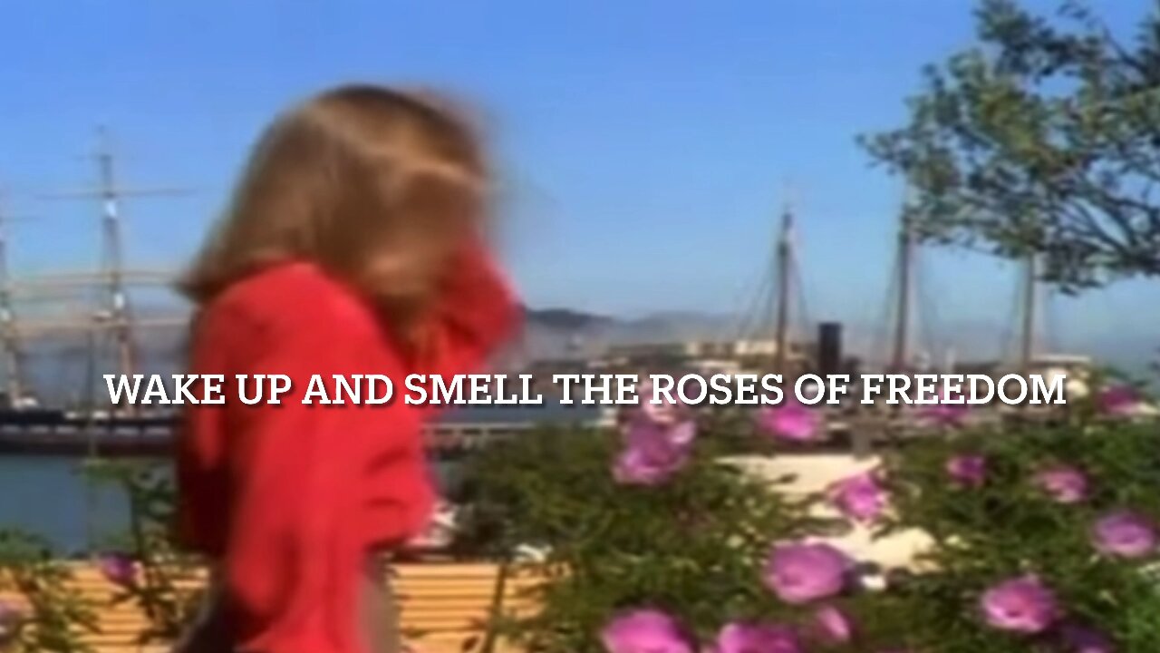 LC~VO~HD Full House Parody