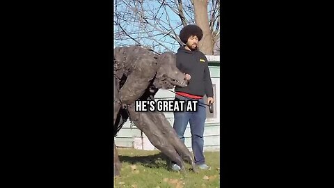 Funny Meams 😂 || Real Life Meams 🔥 || Video by KJ COLLECTIONS