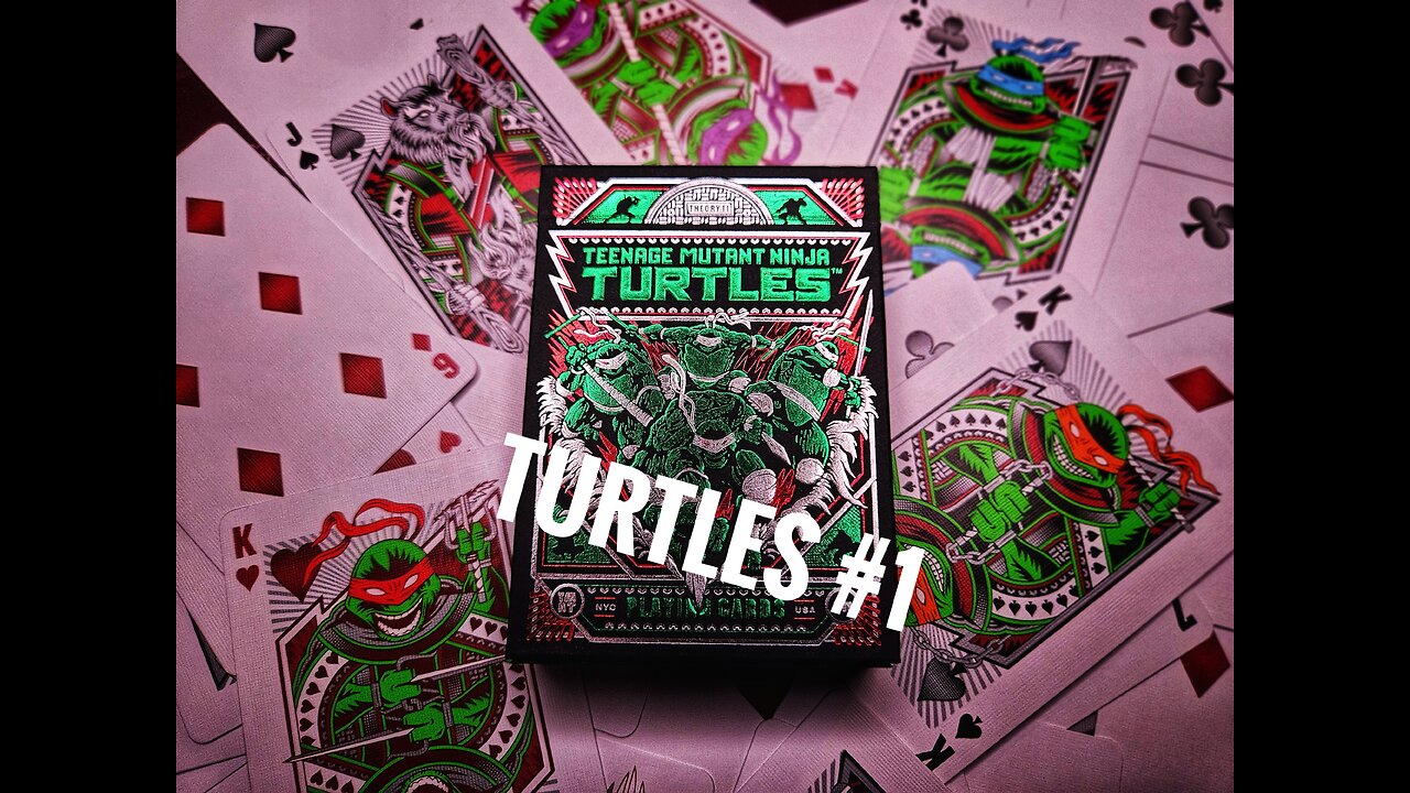 Whats the Count? Turtles #1