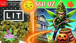 Trying Apple Jacks from Lit Farms! The Dank Flamingo Cannabis Review!!