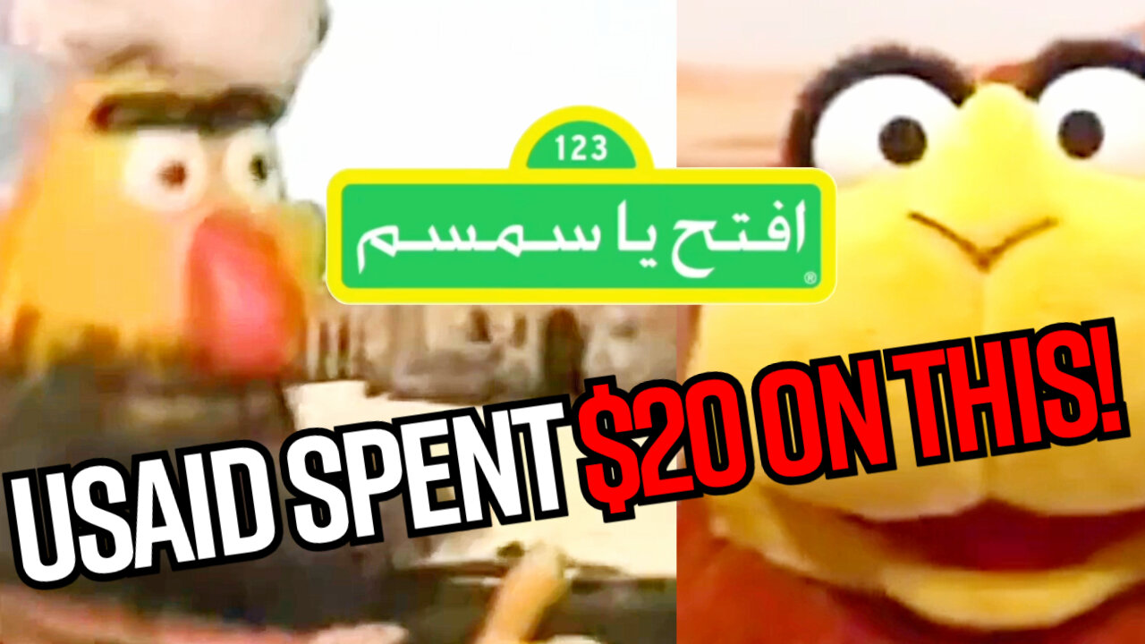 Why Did America Spend Millions on Muppets in Iraq?