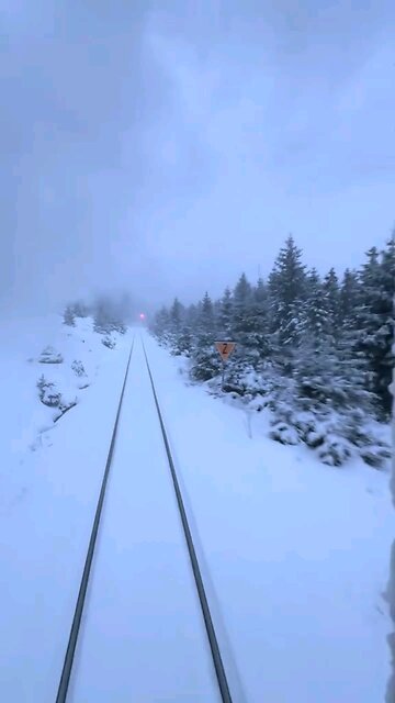 Switzerland 🇨🇭 paradise on earth | travel with me 🌎