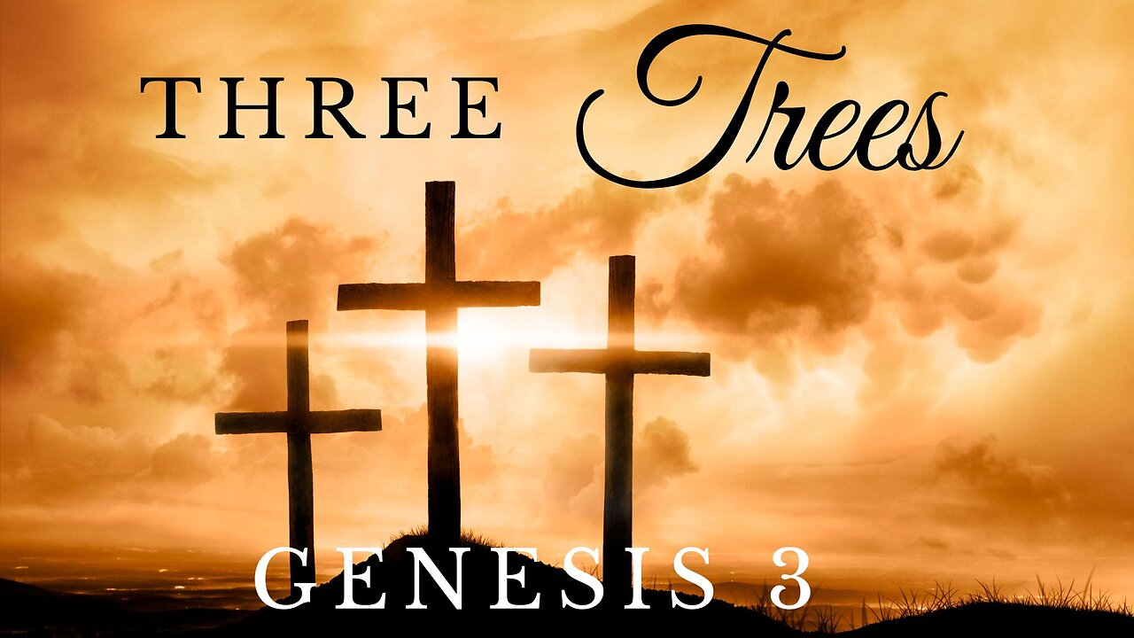 Three Trees - Pastor Jeremy Stout