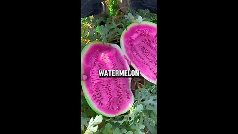The Rarest Fruit In The World.